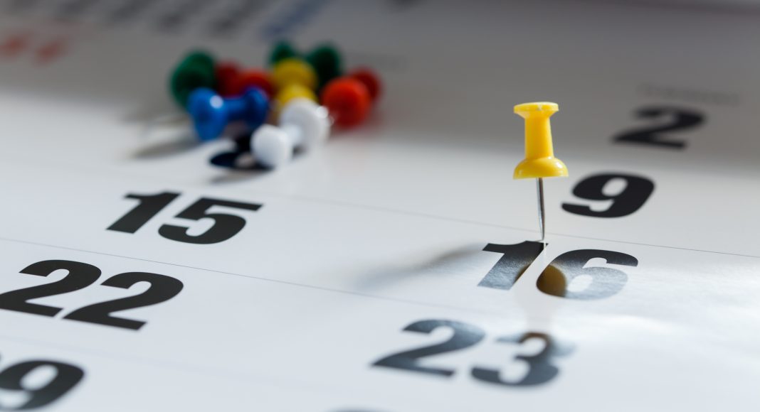 calendar pin