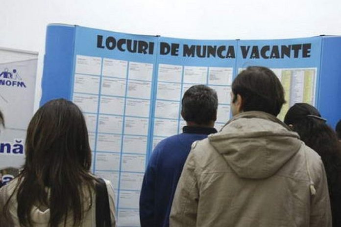 posturi vacante