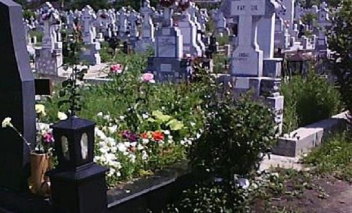 cimitir