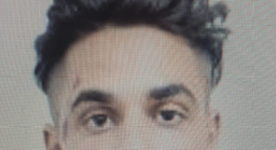 LUPAN ADELIN PETRIȘOR