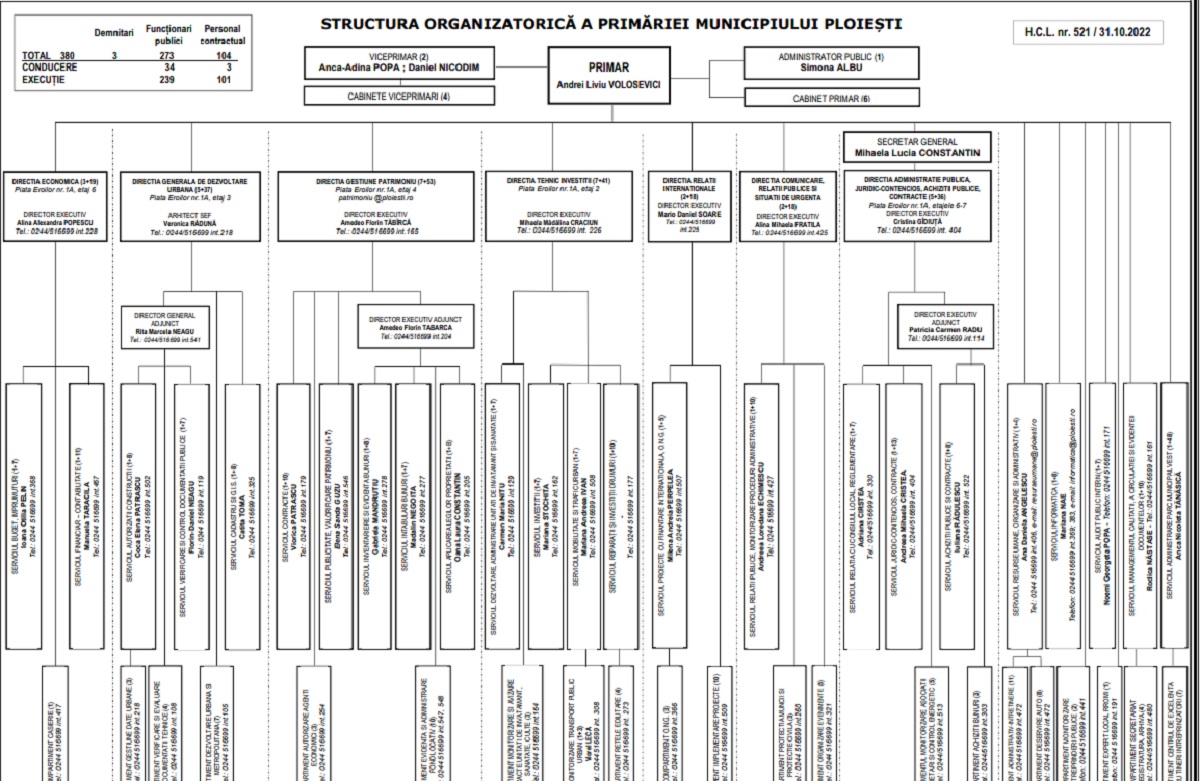 organigrama Primarie