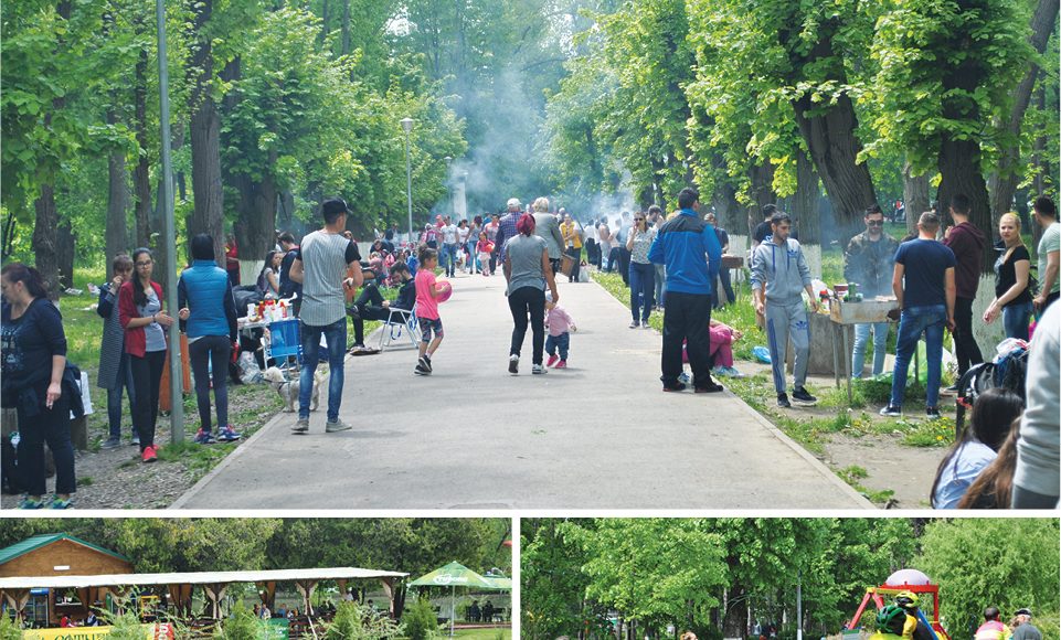parcul bucov