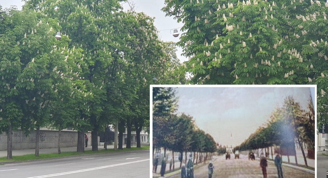 Bulevardul Independentei Ploiesti.