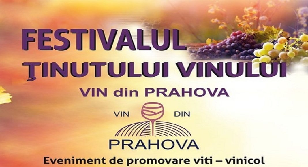 afis festivalul Tinutului vinului