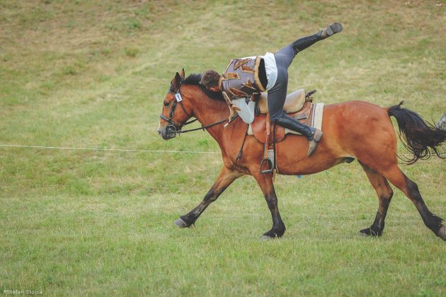 karpatia pony show