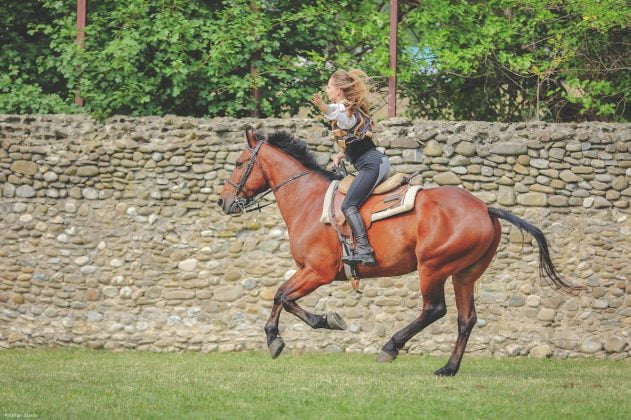 karpatia pony show