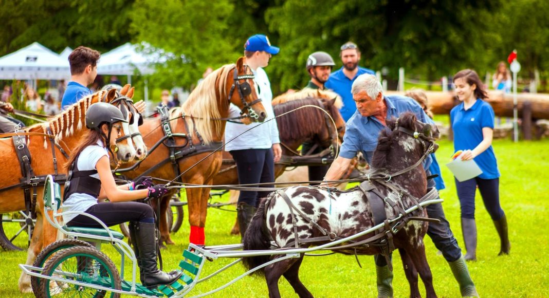 karpatia pony show 2023