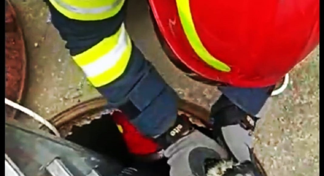 Salvatorii cățelului sunt de la ISU Mizil