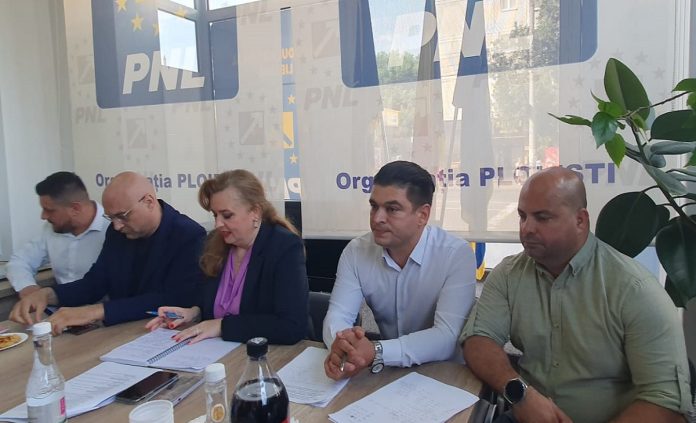 Roberta Anastase senator PNL Roberta Anastase senator PNL