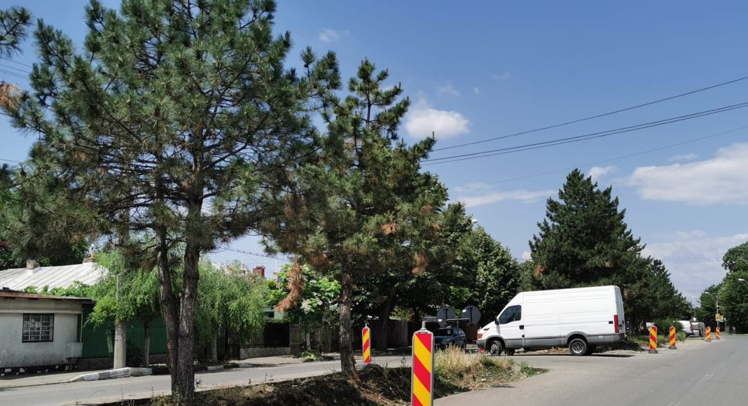 Strada Mircea cel Bătrân