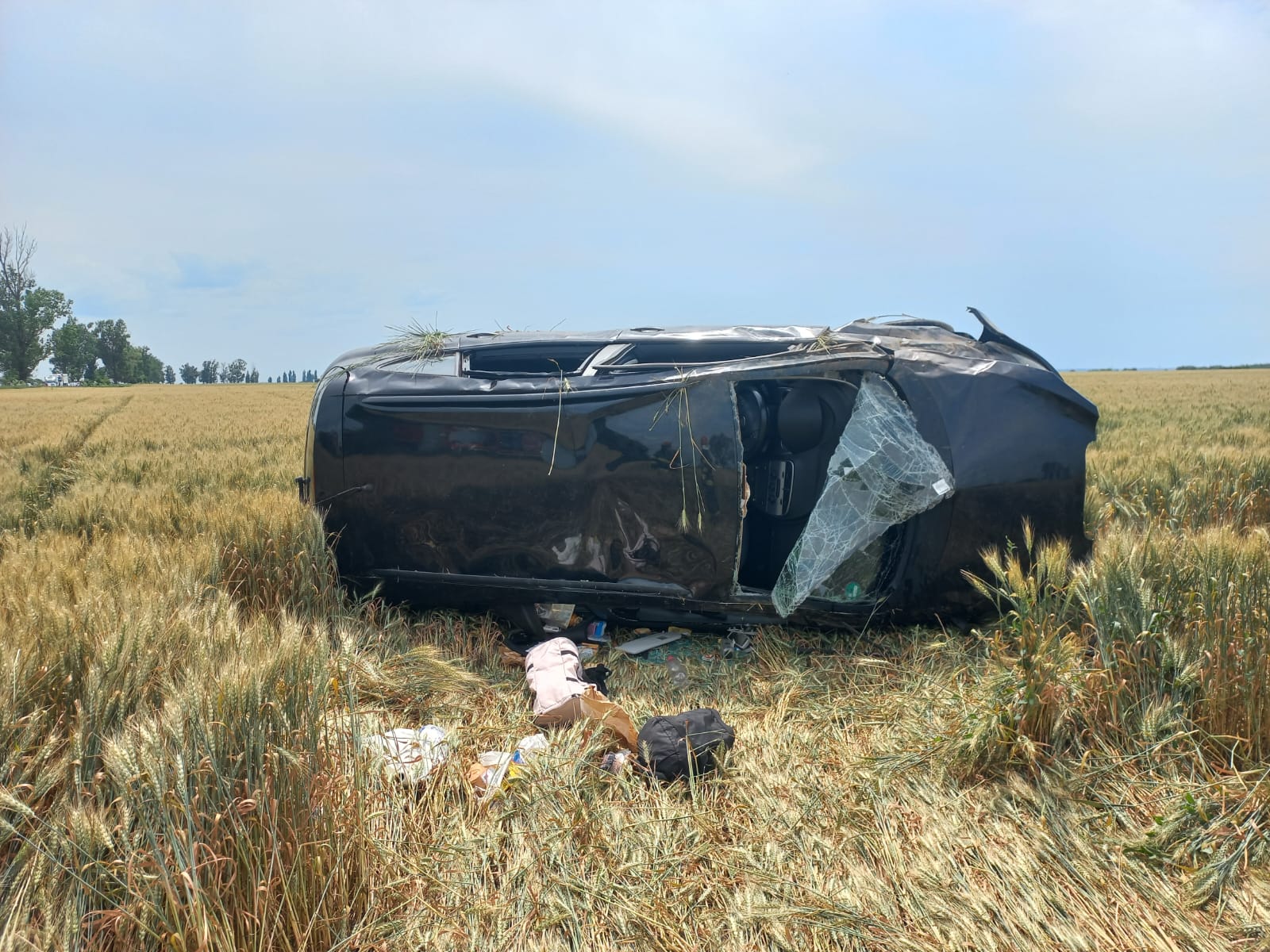 accident fulga