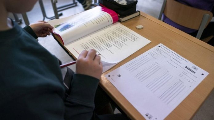 elev examen matematica