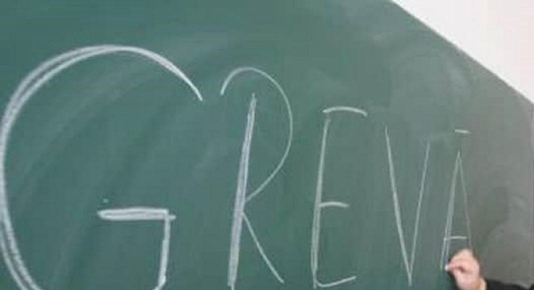greva profesori