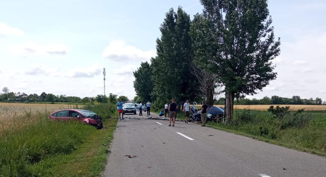 accident mortal poienarii burchii