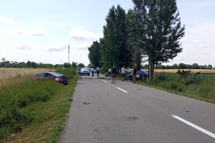 accident mortal poienarii burchii