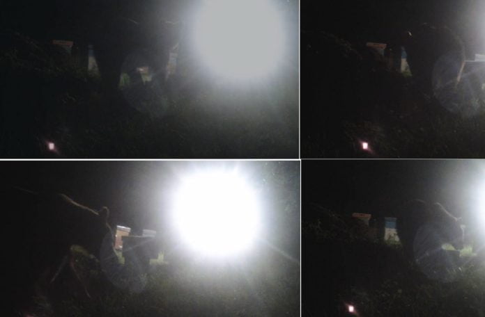 urs filmat stupina Valea Calugareasca