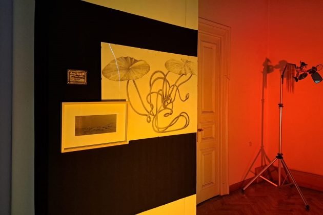 expozitia lockout stereotypes ploiesti