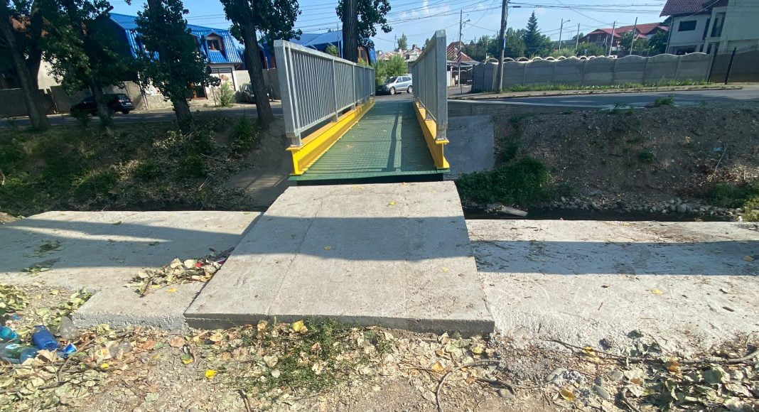 pasarela dambu