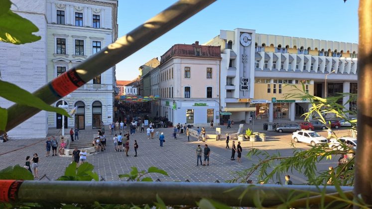 centru timisoara din gradina suspendata