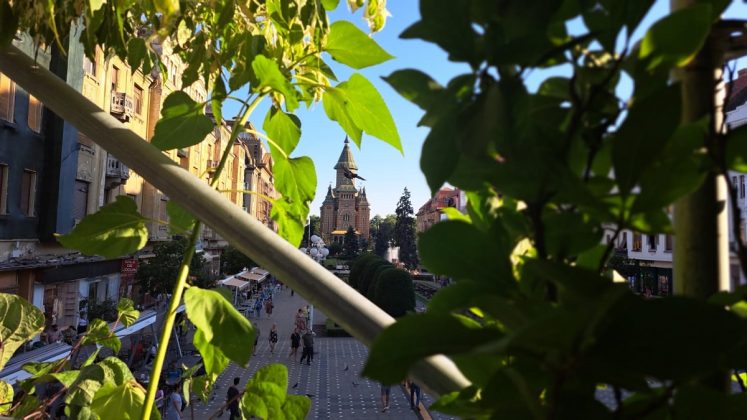 centru timisoara din gradina suspendata