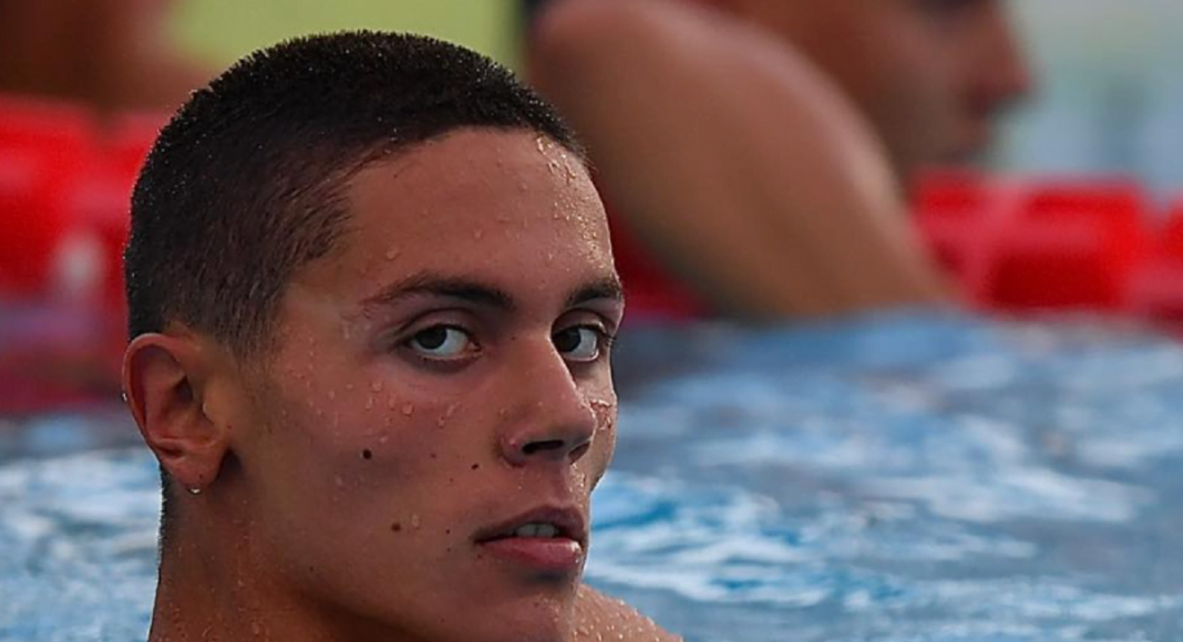 david popovici