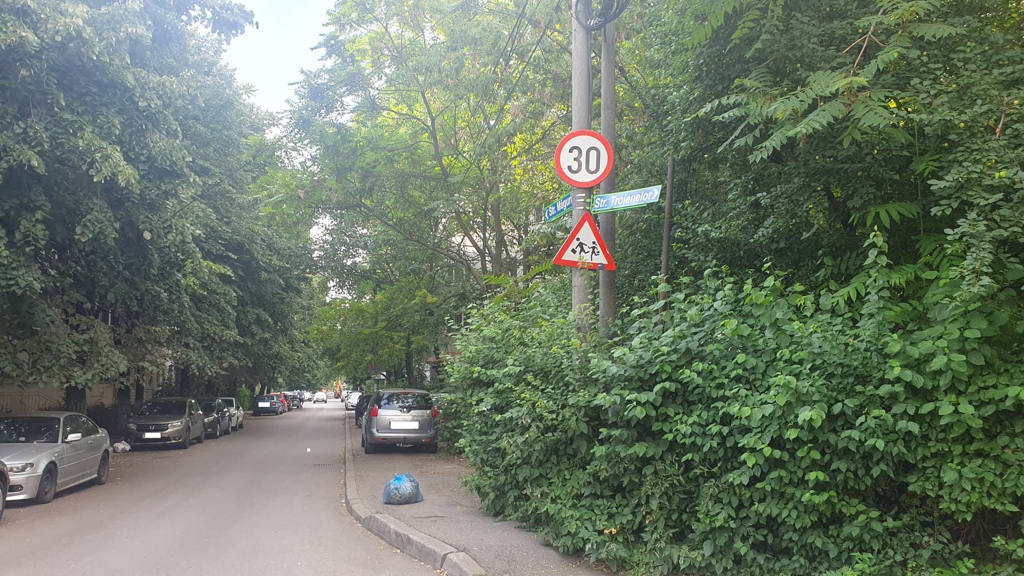 parcari masini strazi
