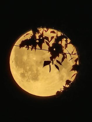 super luna ploiesti