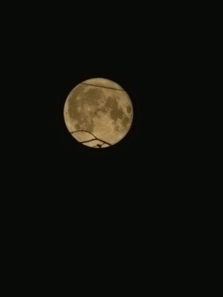 super luna ploiesti