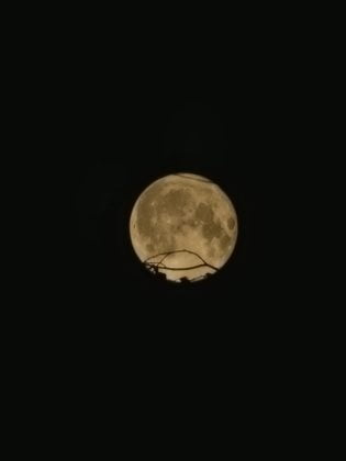 super luna ploiesti