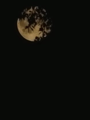 super luna ploiesti