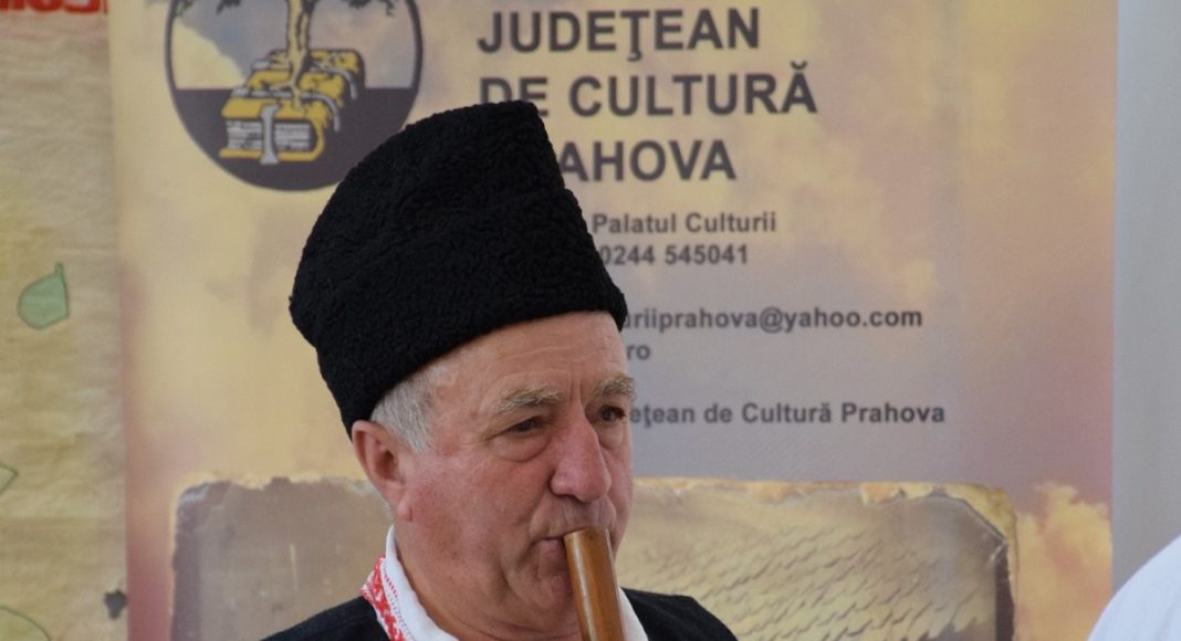 moisica teava tezaur uman viu