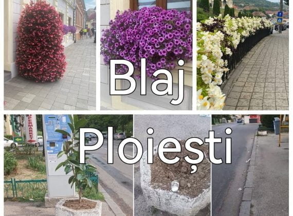 Blajul &icirc;nflorit, Ploieștiul ofilit