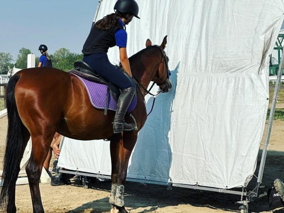 cal ploiesti