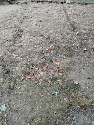 lucrari modernizare parc gara vest ploiesti