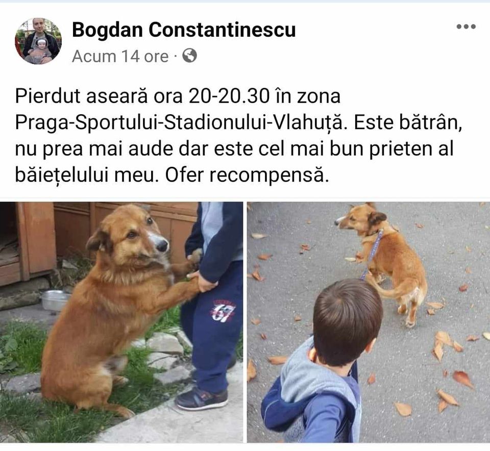 https://www.facebook.com/bogdanium