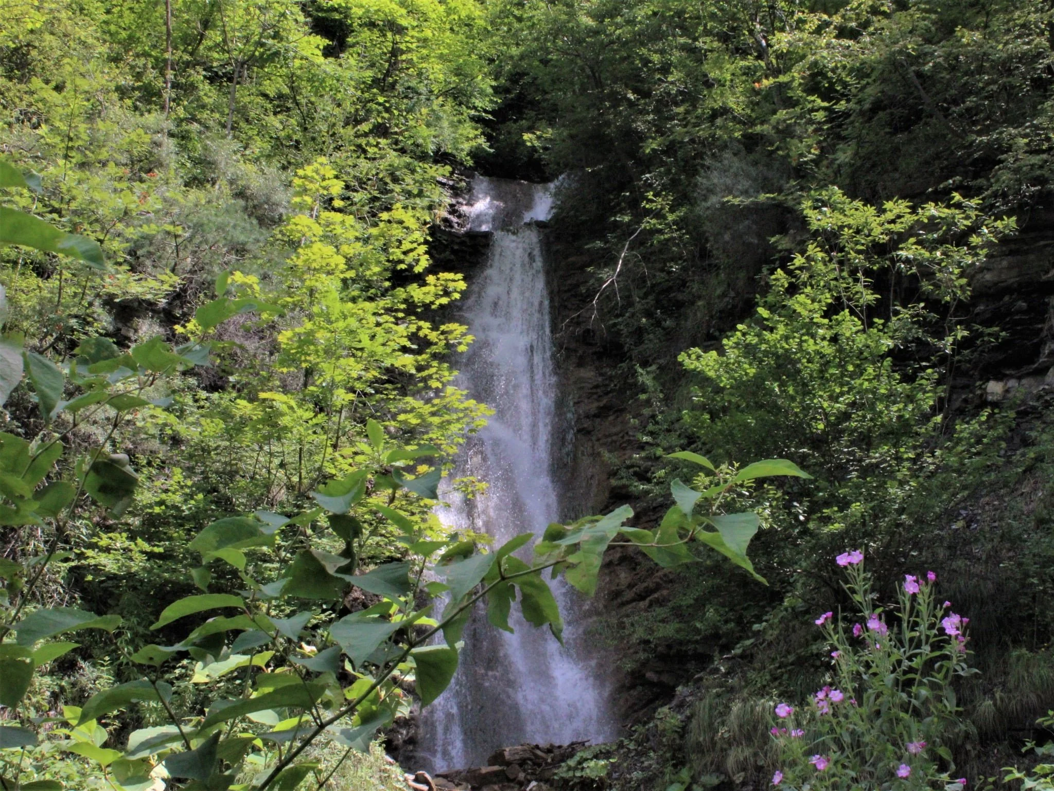 Cascada Posada
