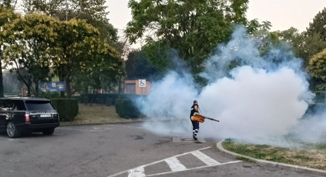 dezinsectie coral ploiesti