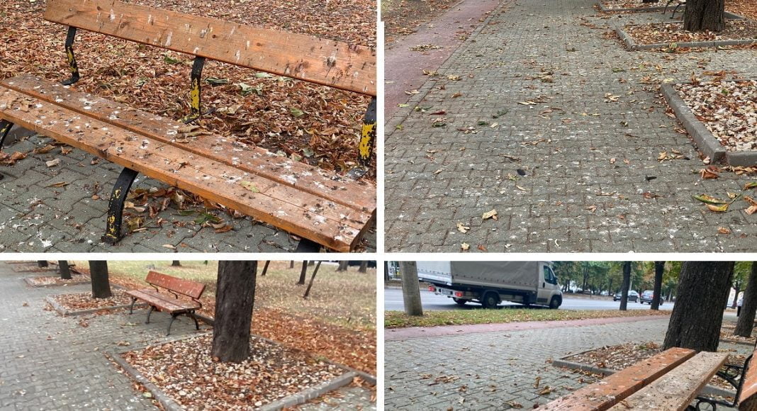 bulevard castani ploiesti