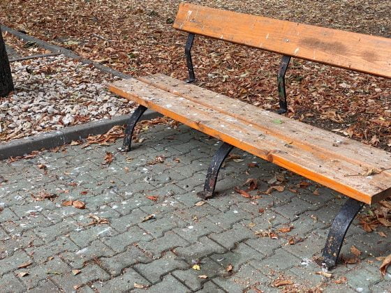 bulevardul castanilor ploiesti