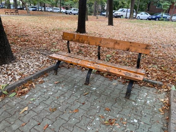 bulevardul castanilor ploiesti