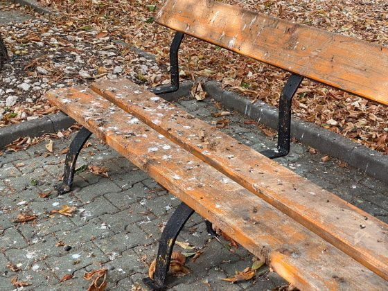 bulevardul castanilor ploiesti