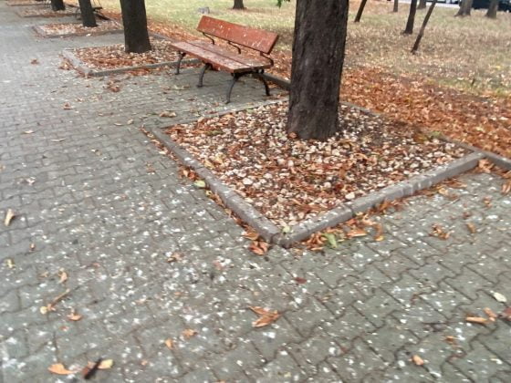 bulevardul castanilor ploiesti
