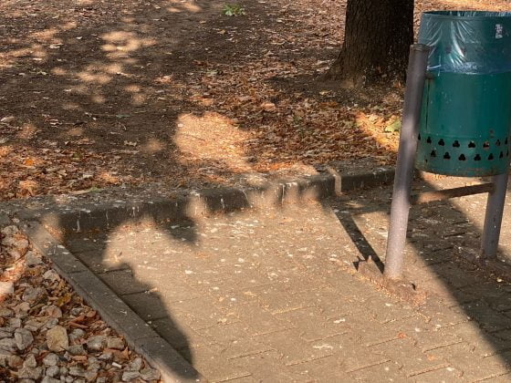 bulevardul castanilor ploiesti