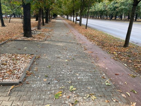 bulevardul castanilor ploiesti