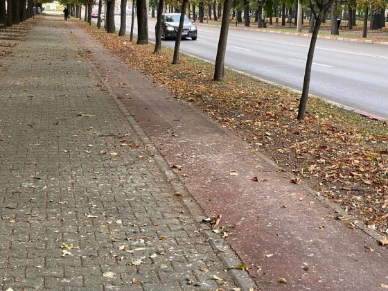 bulevardul castanilor ploiesti