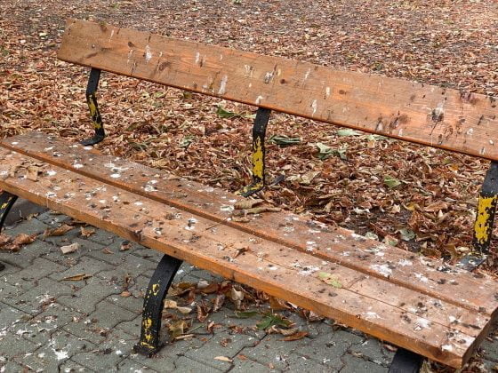 bulevardul castanilor ploiesti