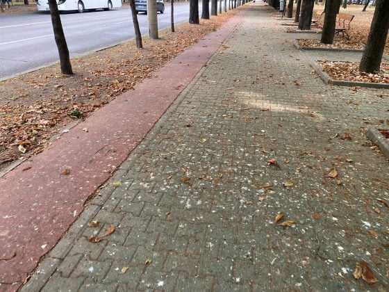 bulevardul castanilor ploiesti