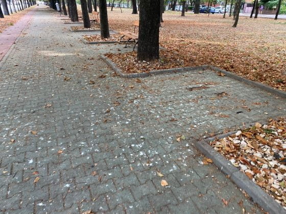 bulevardul castanilor ploiesti