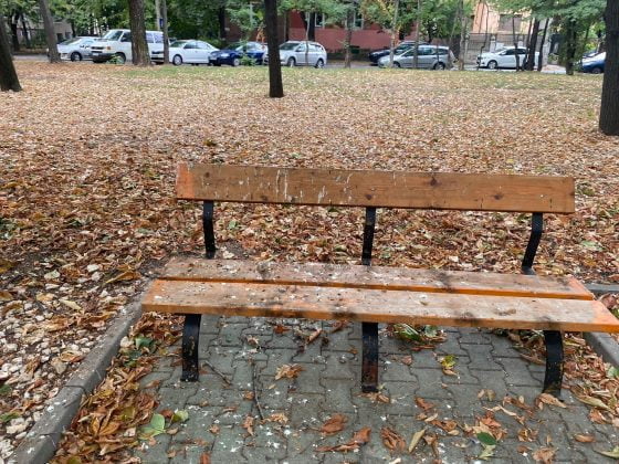 bulevardul castanilor ploiesti