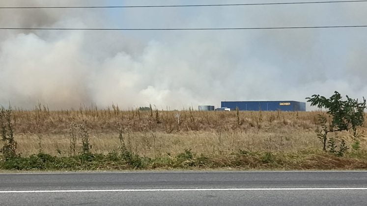 incendiu vegetatie fum ploiesti